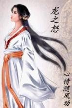 穿越龙之怒封面