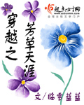 穿越之芳草天涯封面