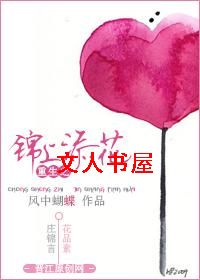 重生之锦上添花封面
