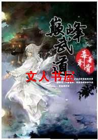 巅峰武道封面