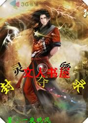 封灵夺魄录封面