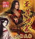 至尊鸿蒙封面