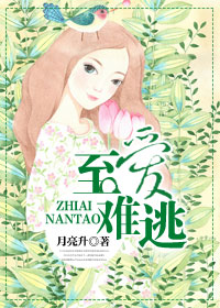 �������ӷ���