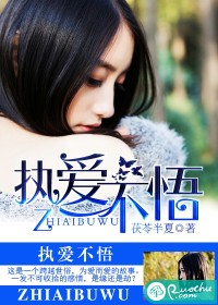 ִ���������