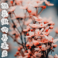 �һ�΢���ٷ������