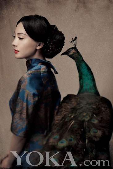 ��ǧ��·�ƺ��·���