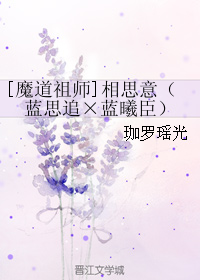 (魔道祖师同人)[魔道祖师]相思意(蓝思追×蓝曦臣)封面