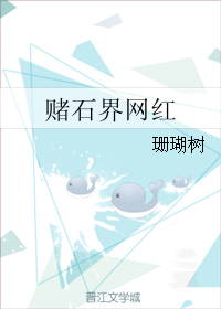 ��ʯ���������