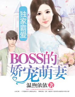 ���Ұ԰�:BOSS�Ľ�������