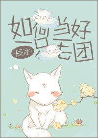 如何当好一只毛团封面
