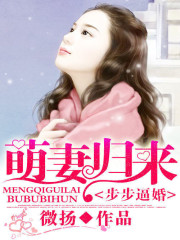 �����ƻ�:���޹�������