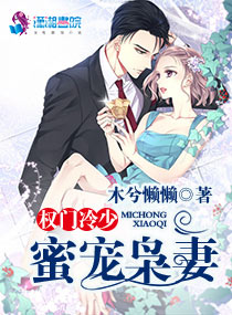 Ȩ�������۳����޷���