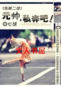 [��Խ��ս]Ԫ˧,˽���ɣ�����