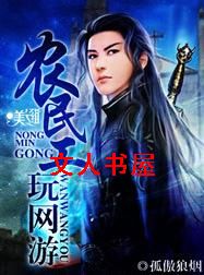 农民工玩网游封面