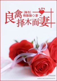 ������ľ����(ʦ��)����