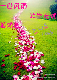 һ������ �������Ƿ���