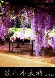 [��������]���˲�Զ�η���