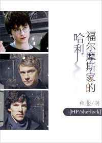 [HPsherlock]����Ħ˹�ҵĹ��� ���+����