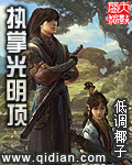 执掌光明顶封面