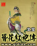 簪花红袍传封面
