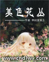 ��ɫ���Է���