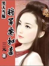 男大当嫁:将军要和亲封面