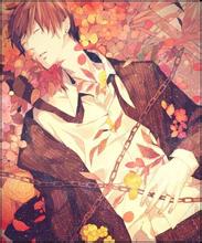 ����˫˿��