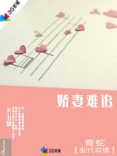 ������׷