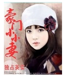 ����СС�޷���