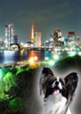 ������ҽ������