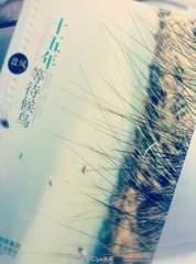 ʮ����ȴ�����