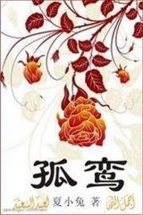孤鸾 孤鸾