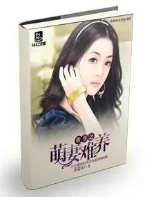 ����֮������������