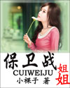 姐姐保卫战封面
