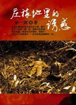 庄稼地里的诱惑封面