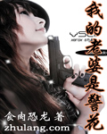 我的老婆是警花封面
