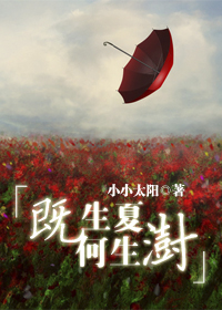 �����ĺ�����