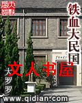 铁血大民国