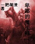 卑鄙的魔法师
