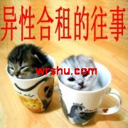 ���Ժ�������·���