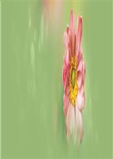 ���ñ��з���