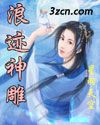 浪迹神雕封面