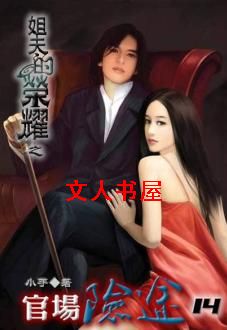 姐夫的荣耀第三部之官场险途