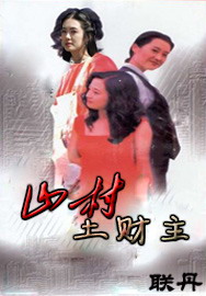 ɽ��������