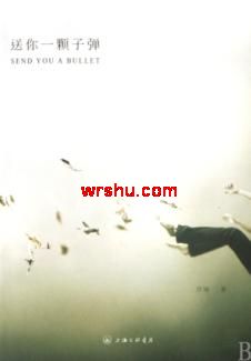 ����һ���ӵ�����