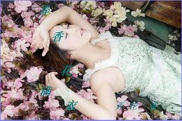 Ū�㻨���·���