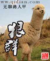 ��Ⱥ����