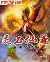 ��ʯ�������