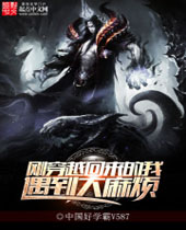 �մ�Խ���������������鷳����