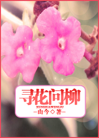 ��Ѱ,��Ѱ����